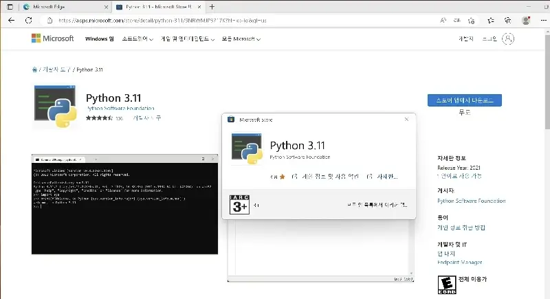 Python MS Store en detalle web