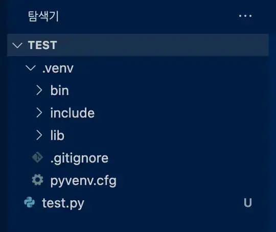 vscode .venv 폴더