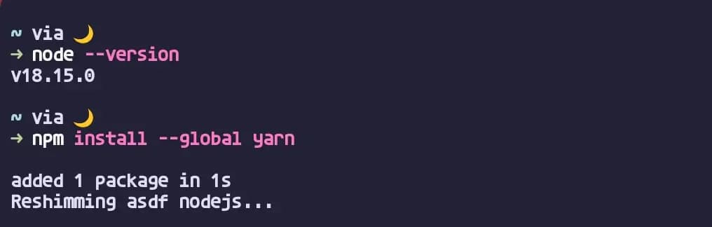 npm list --global 결과