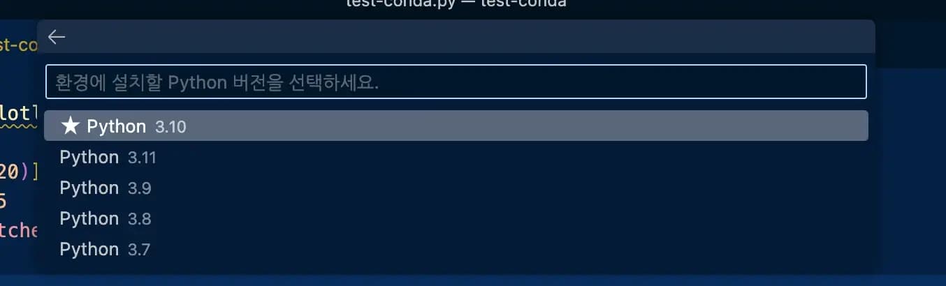 vscode python conda interpreter 버전 설정