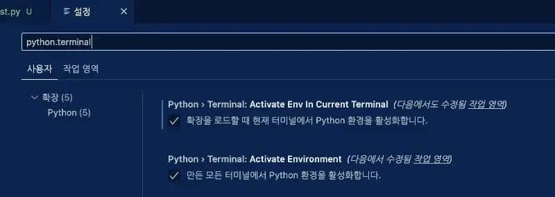vscode 가상환경 자동 활성화