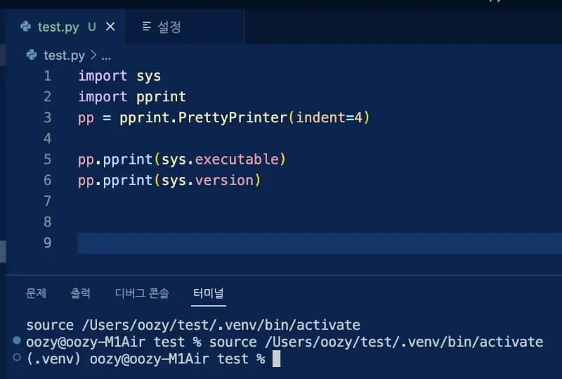 vscode 가상환경 자동 활성화 결과