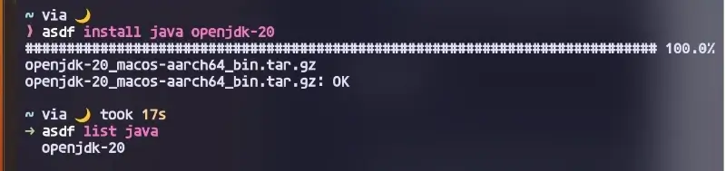 asdf로 openjdk 20 설치